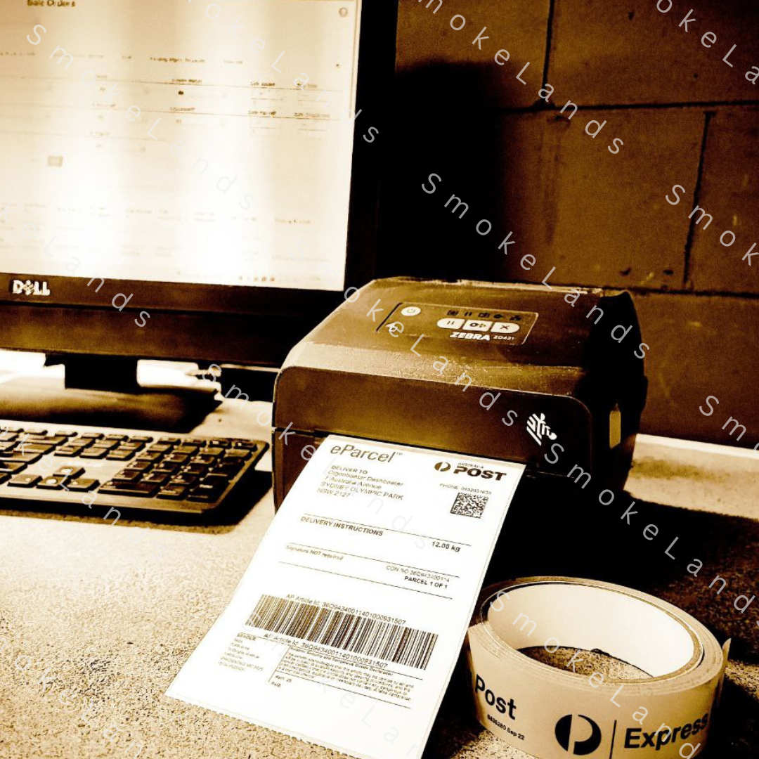 Ultimate Aussie-Tested Combo: Portable Charcoal Grill with Blower + Pro 60cm Skewers